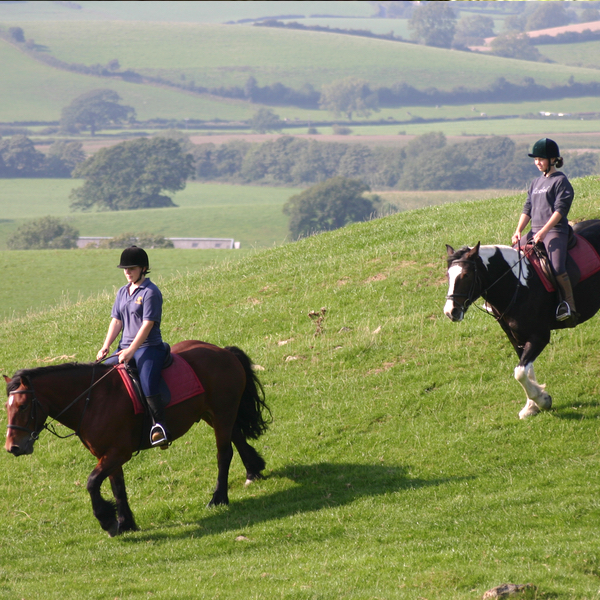 Horse%20Riding%203%20600