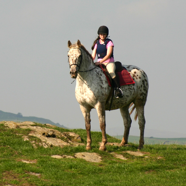 Horse%20Riding%20600